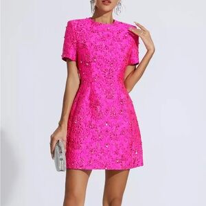 NWT Catchall Astrid Pink Jacquard Floral Mini Dress Size Large